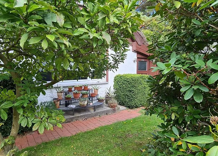 度假居 Fischlandhus 奥茨塞巴德·迪尔哈根